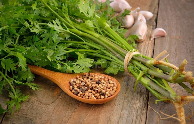 Cooking With Coriander