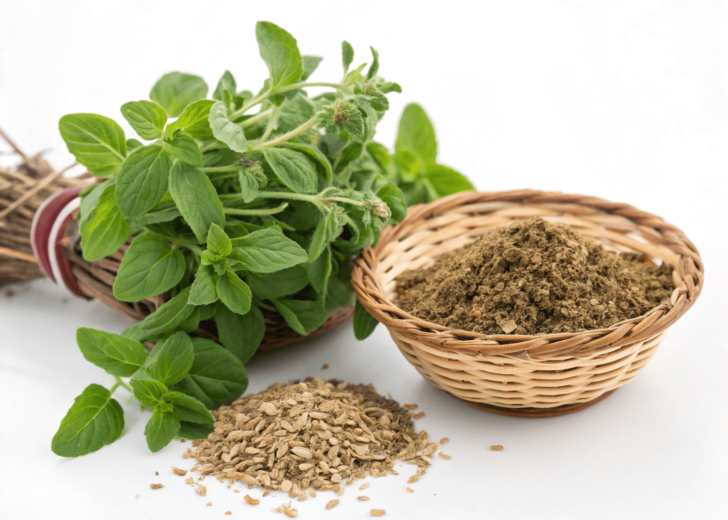 Marjoram: The Versatile Herb with a Rich History and Culinary Magic